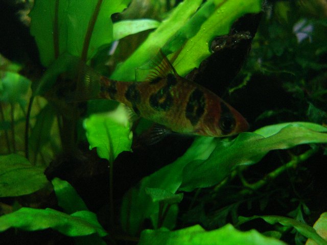 f0087479_19561080.jpg