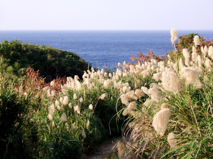 f0083281_2338355.jpg