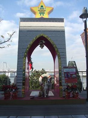e0060288_2228352.jpg