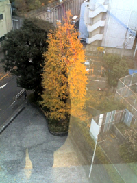 f0149594_1685260.jpg