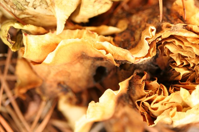 c0084097_18354260.jpg