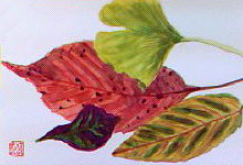 f0008597_2211367.jpg