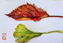 f0008597_2223892.jpg