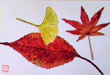 f0008597_222811.jpg
