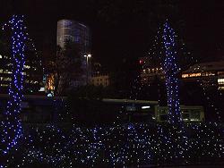 f0153998_039221.jpg