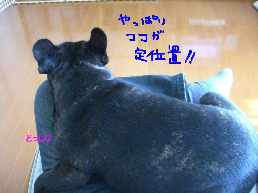c0113109_1302086.jpg