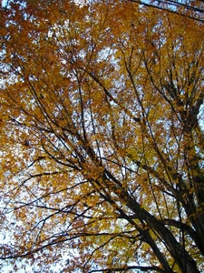 f0133814_16104342.jpg