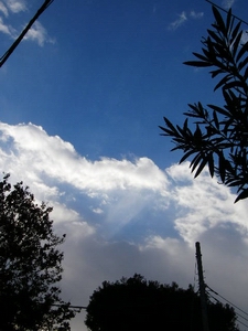 f0133814_16113887.jpg