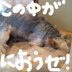 c0036617_19523622.jpg