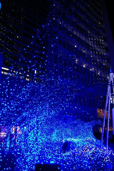 c0102017_11525593.jpg