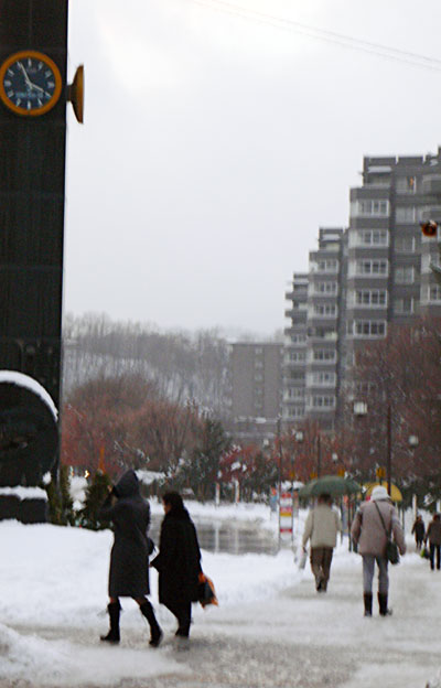 a0046429_1152920.jpg