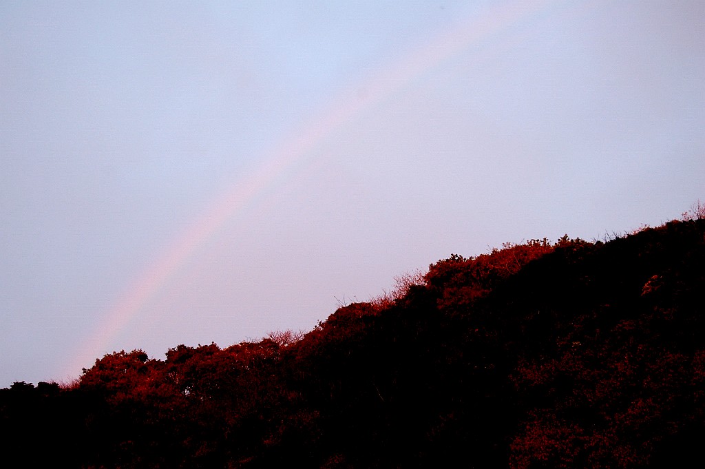 e0107030_7285852.jpg