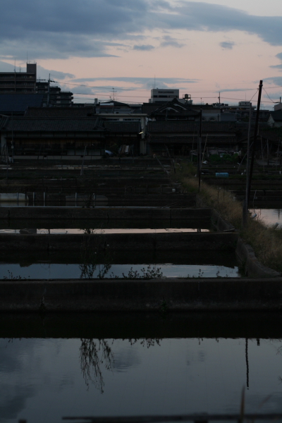 f0140130_8404196.jpg