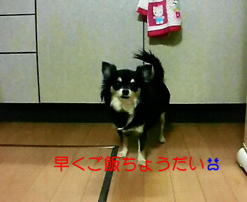 c0121141_23165292.jpg
