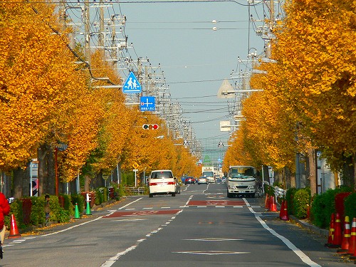 a0106043_1825694.jpg