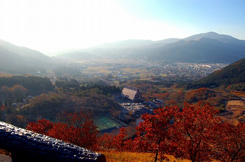 d0123346_10272.jpg