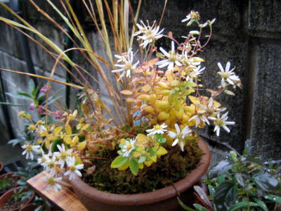 c0147952_22553566.jpg