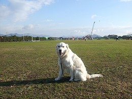 a0104162_1213618.jpg