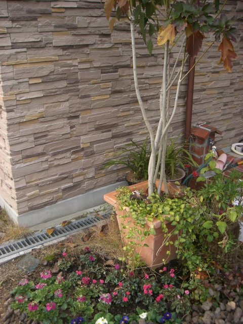 b0119969_13111116.jpg