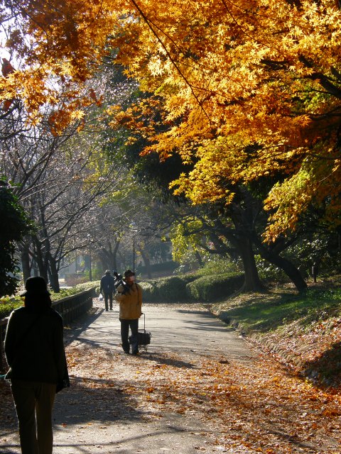 e0078069_22223994.jpg