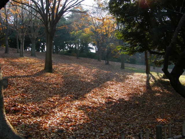 e0078069_2222588.jpg