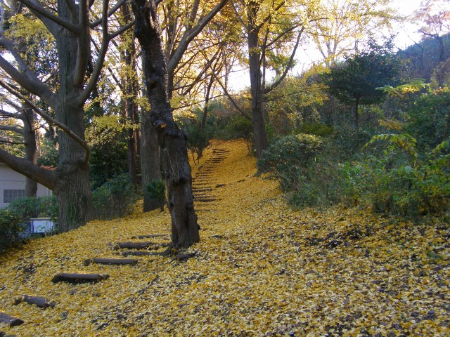 e0078069_2223562.jpg