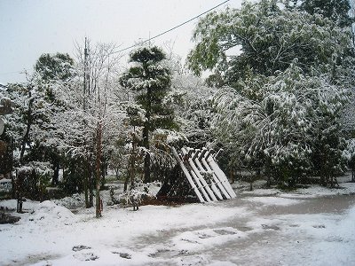 f0047693_21543633.jpg