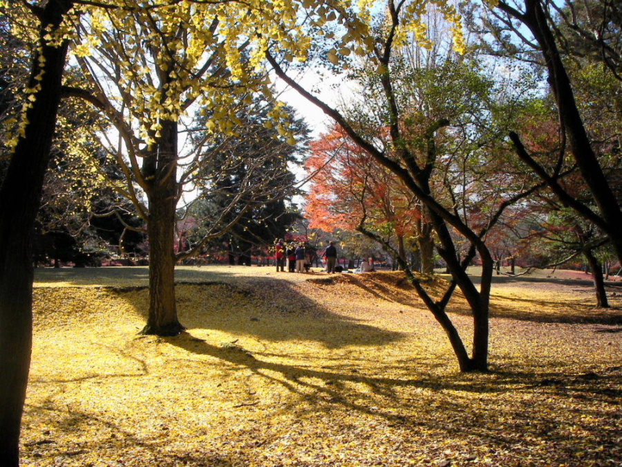 f0100593_12375743.jpg