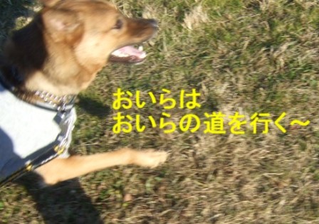 b0087400_23201245.jpg