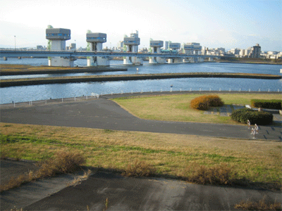 b0108100_10175337.gif