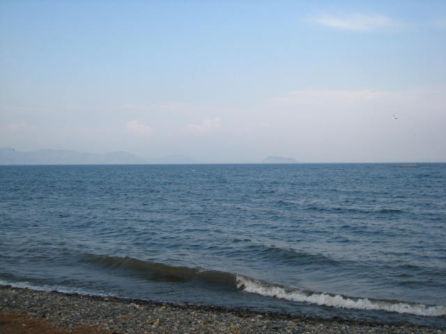d0121300_503592.jpg