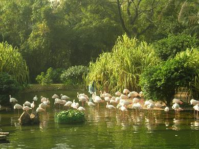 c0011501_22374935.jpg