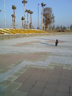 c0037701_22223220.jpg