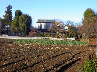 d0051601_19324470.jpg
