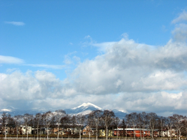 f0020302_20545938.jpg