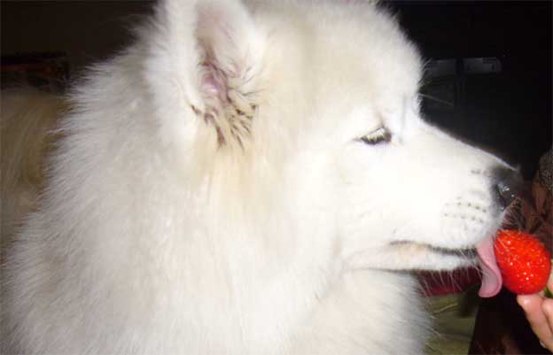 e0018604_14485986.jpg