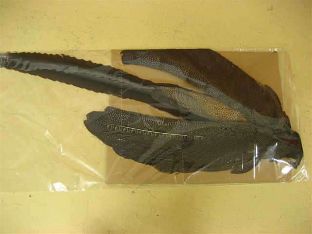 d0126708_22384995.jpg