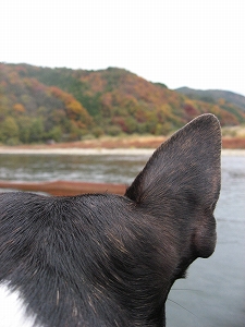 f0141516_04941.jpg