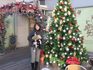 e0080117_22452846.gif