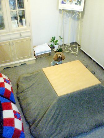 e0119017_230288.jpg