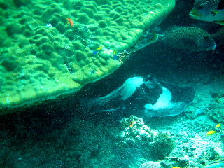 f0142717_23543560.jpg