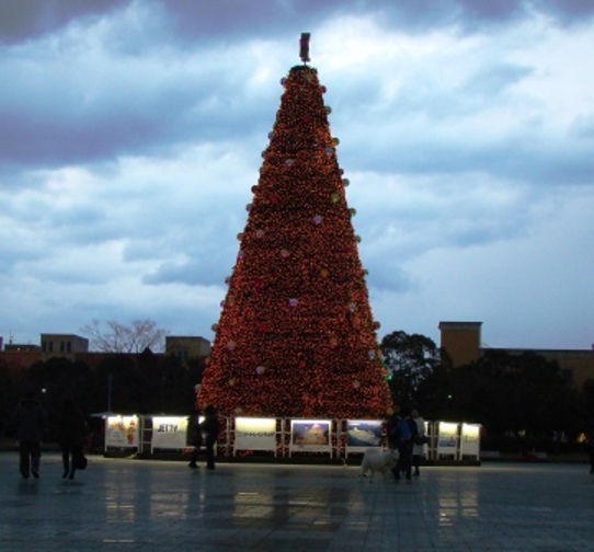 e0024126_20243056.jpg