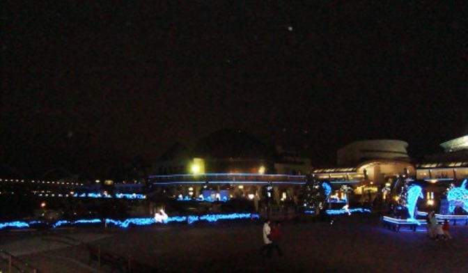 e0024126_20553792.jpg