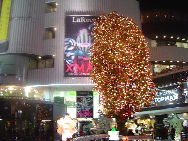 c0127029_9531556.jpg
