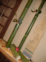 a0005436_1726965.jpg
