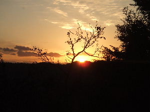 a0054240_21232992.jpg