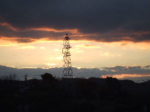 a0054240_21242192.jpg