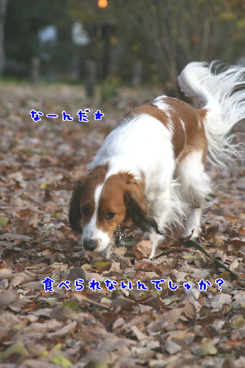 d0013149_23145270.jpg