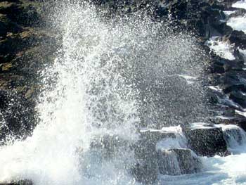 f0046449_1205237.jpg