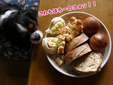 c0145250_1640117.jpg